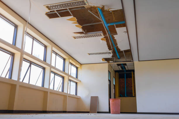 Best Professional water damage repair  in Edgewood, FL