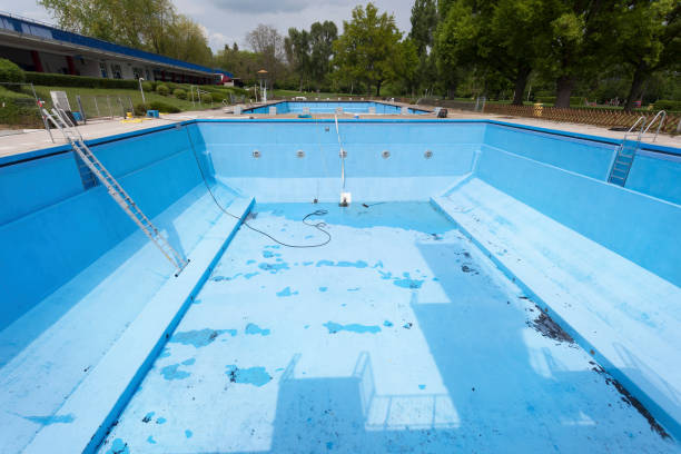 Best Basement water damage restoration  in Edgewood, FL