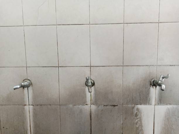Best Sewage cleanup and water damage restoration  in Edgewood, FL